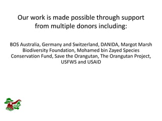 Landscape restoration to support Bornean orangutan rehabilitation and reintroduction