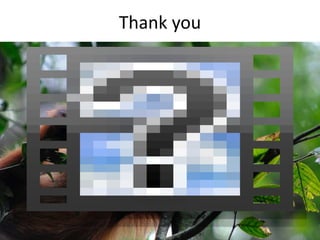 Landscape restoration to support Bornean orangutan rehabilitation and reintroduction