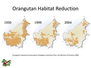 Orangutan Habitat Reduction
Orangutan Indonesia Conservation Strategies and Action Plan, the Ministry of Forestry, 2009
 