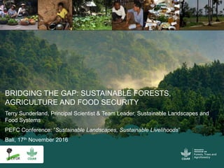 BRIDGING THE GAP: SUSTAINABLE FORESTS,
AGRICULTURE AND FOOD SECURITY
Terry Sunderland, Principal Scientist & Team Leader, Sustainable Landscapes and
Food Systems
PEFC Conference: ”Sustainable Landscapes, Sustainable Livelihoods”
Bali, 17th November 2016
 