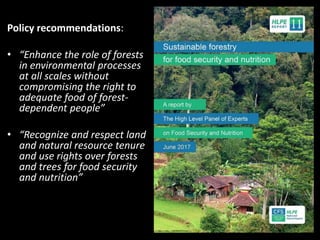 The right to food? Protected areas, access and food security