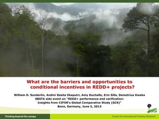 What are the barriers and opportunities to
conditional incentives in REDD+ projects?
William D. Sunderlin, Andini Desita Ekaputri, Amy Duchelle, Erin Sills, Demetrius Kweka
SBSTA side event on “REDD+ performance and verification:
Insights from CIFOR’s Global Comparative Study (GCS)”
Bonn, Germany, June 5, 2013
 