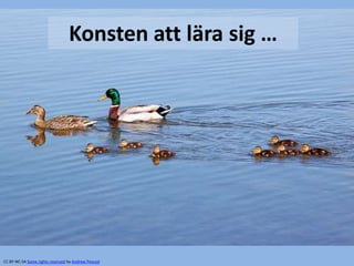 Konsten att lära sig …
CC BY-NC-SA Some rights reserved by Andrew Pescod
 