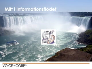 Mitt i Informationsflödet
 