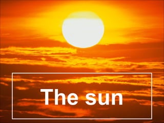 The sun
 
