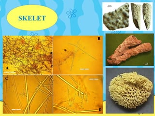 SKELET
 