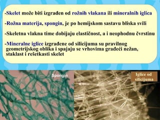-Skelet može biti izgrađen od rožnih vlakana ili mineralnih iglica
-Rožna materija, spongin, je po hemijskom sastavu bliska svili
-Skeletna vlakna time dobijaju elastičnost, a i neophodnu čvrstinu
-Mineralne iglice izgrađene od silicijuma su pravilnog
geometrijskog oblika i spajaju se vrhovima građeći nežan,
staklast i rešetkasti skelet
Spongin Iglice od
silicijuma
 