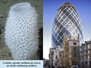 London, zgrada sazidana po uzoru
na skelet staklastog sunđera
 
