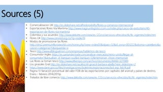 Sources (5)
• Comercializacion UK http://es.slideshare.net/alfredorodolfo/flores-y-comercio-internacional
• Exportaciones flores Via Maritima http://www.magnumlogistics.com.co/index.php/casos-de-exito/item/40-
exportacion-de-flores-via-maritima
• Colombia y sus acuerdos http://www.deloitte.com/view/es_CO/co/servicios-ofrecidos/tlc/tlc_vigentes/index.htm
• Flores UK http://www.cenired.org.co/?q=node/19
• Modos de promocionar las flores
http://dns2.premiumfloristworld.com/home.php?view=index03&idpais=32&id_zona=003222&idioma=castellano&o
casion=categorias15&izquierda=si
• Tesco http://www.elblogsalmon.com/empresas/hablemos-de-tesco
• Consumidor Ingles https://es.santandertrade.com/analizar-mercados/reino-unido/llegar-al-
consumidor?&actualiser_id_banque=oui&id_banque=12&memoriser_choix=memoriser
• Las flores se toman tesco http://www.eltiempo.com/archivo/documento/MAM-3211989
• Los girasoles Gral http://es.slideshare.net/racalviz/el-girasol-barbara-abella?next_slideshow=2
• https://www.dane.gov.co/files/investigaciones/boletines/exportaciones/bol_exp_feb14.pdf
• Pagina 13 Variación porcentual del valor FOB de las exportaciones por capítulos del arancel y países de destino,
Enero - febrero 2014/2013p.
• Tratados de libre comercio http://www.deloitte.com/view/es_CO/co/servicios-ofrecidos/tlc/tlc_vigentes/index.htm
 