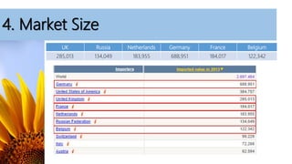 4. Market Size
UK Russia Netherlands Germany France Belgium
285,013 134,049 183,955 688,951 184,017 122,342
 