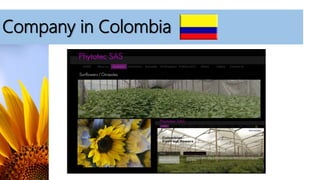 Company in Colombia
 