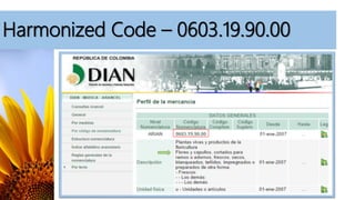 Harmonized Code – 0603.19.90.00
 