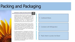 Packing and Packaging
• Cardboard Boxes
• Container with Refrigeration
• Plastic Mesh to protec the flower
 