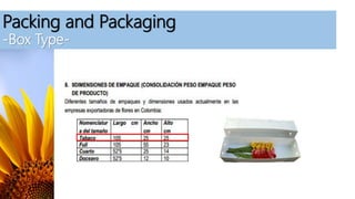 Packing and Packaging
-Box Type-
 