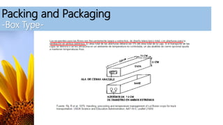 Packing and Packaging
-Box Type-
 