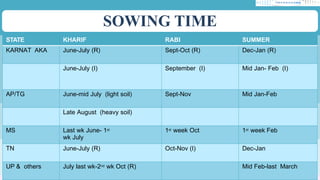 SOWING TIME
STATE KHARIF RABI SUMMER
KARNAT AKA June-July (R) Sept-Oct (R) Dec-Jan (R)
June-July (I) September (I) Mid Jan- Feb (I)
AP/TG June-mid July (light soil) Sept-Nov Mid Jan-Feb
Late August (heavy soil)
MS Last wk June- 1st
wk July
1st week Oct 1st week Feb
TN June-July (R) Oct-Nov (I) Dec-Jan
UP & others July last wk-2nd wk Oct (R) Mid Feb-last March
 