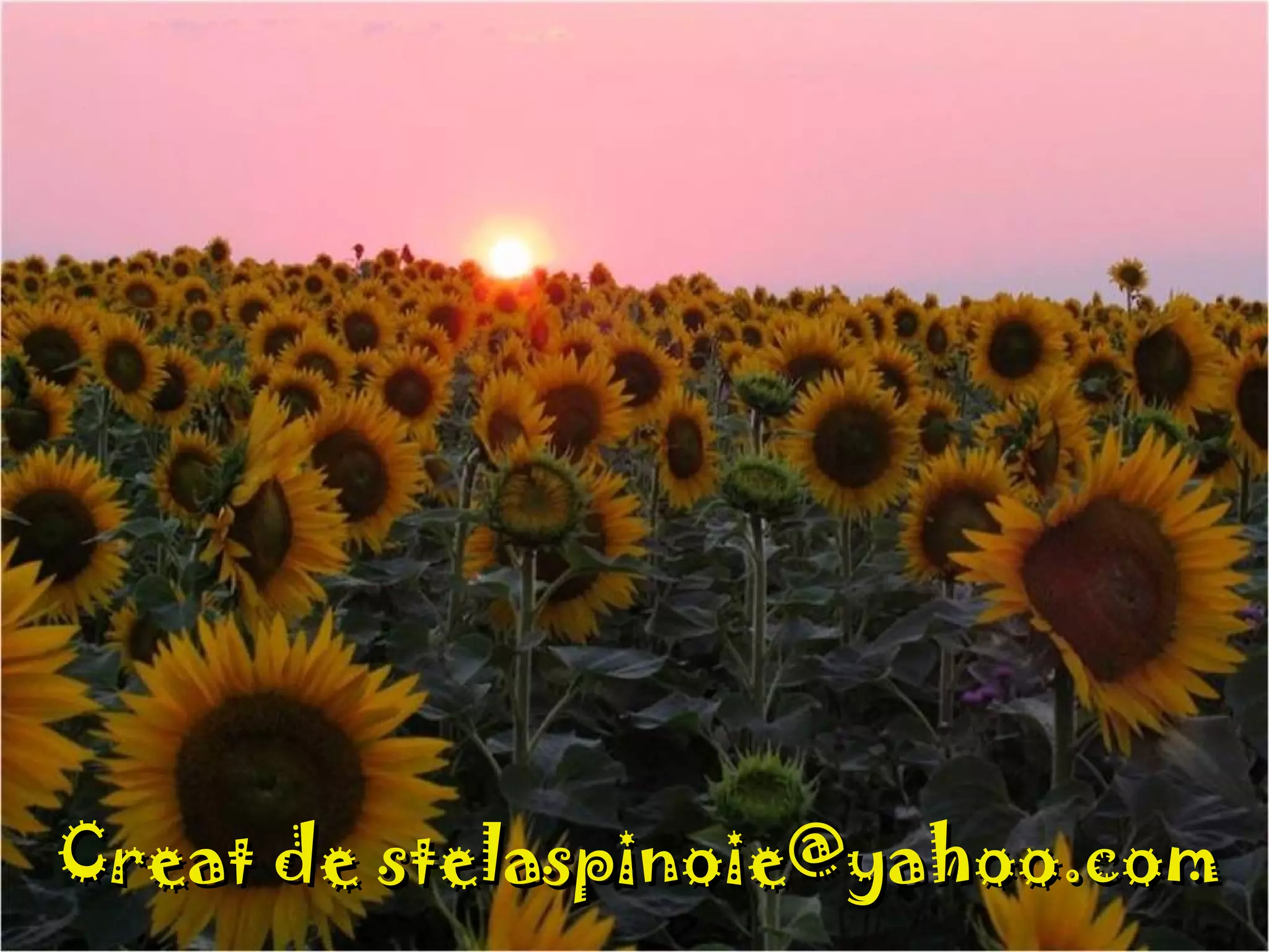 Creat de stelaspinoie@yahoo.comCreat de stelaspinoie@yahoo.com
 