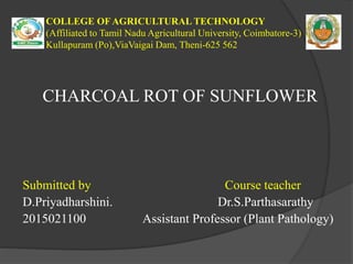 COLLEGE OFAGRICULTURAL TECHNOLOGY
(Affiliated to Tamil Nadu Agricultural University, Coimbatore-3)
Kullapuram (Po),ViaVaigai Dam, Theni-625 562
CHARCOAL ROT OF SUNFLOWER
Submitted by Course teacher
D.Priyadharshini. Dr.S.Parthasarathy
2015021100 Assistant Professor (Plant Pathology)
 
