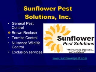 Sunflower Pest Solutions, Inc. ,[object Object],[object Object],[object Object],[object Object],[object Object],www.sunflowerpest.com 