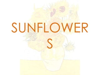 SUNFLOWER
S
 