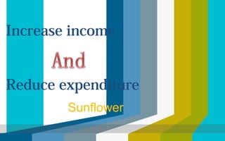 Sunflower
Increase income
Reduce expenditure
 
