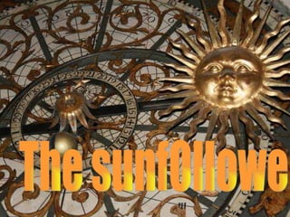The sunfOllower 