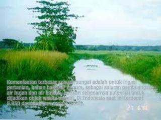 Kemanfaatan terbesar sebuah sungai adalah untuk irigasi
pertanian, bahan baku air minum, sebagai saluran pembuangan
air hujan dan air limbah, bahkan sebenarnya potensial untuk
dijadikan objek wisata sungai. Di Indonesia saat ini terdapat
5.950 daerah aliran sungai (DAS).
 