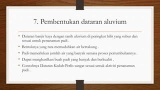 7. Pembentukan dataran aluvium
• Dataran banjir kaya dengan tanih aluvium di peringkat hilir yang subur dan
sesuai untuk penanaman padi .
• Bentuknya yang rata memudahkan air bertakung .
• Padi memerlukan jumlah air yang banyak semasa proses pertumbuhannya .
• Dapat menghasilkan buah padi yang banyak dan berkualiti .
• Contohnya Dataran Kedah-Perlis sangat sesuai untuk aktiviti penanaman
padi .
 
