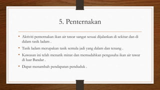 5. Penternakan
• Aktiviti penternakan ikan air tawar sangat sesuai dijalankan di sekitar dan di
dalam tasik ladam .
• Tasik ladam merupakan tasik semula jadi yang dalam dan tenang .
• Kawasan ini telah menarik minat dan memudahkan pengusaha ikan air tawar
di luar Bandar .
• Dapat menambah pendapatan penduduk .
 