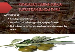 c. Perekonomian 
• Bermata pencaharian bertani. 
• Pengelolaan tanah sudah menggunakan bajak yang ditarik sapi. 
• Hasil pertanian mereka yang utama adalah gandum, zaitun, anggur, dan 
sayuran 
 