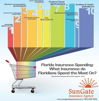 Florida Insurance Spending: What Insurance do Floridians Spend the Most on?