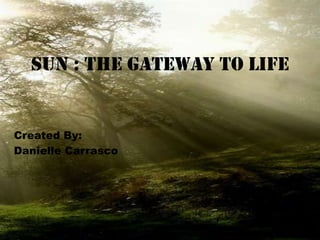 Sun : the Gateway to Life Created By:  Danielle Carrasco 