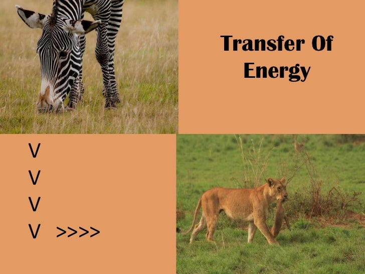 Sun The Gateway to Life