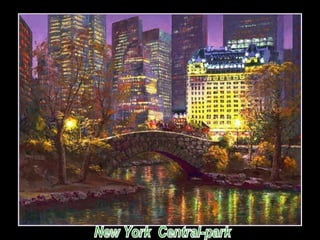 New York  Central-park 
