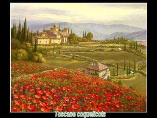Toscane coquelicots 