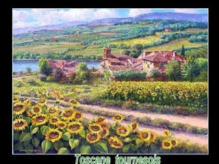 Toscane  tournesols 
