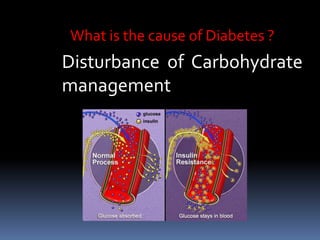 What is the cause of Diabetes ?
Disturbance of Carbohydrate
management
 