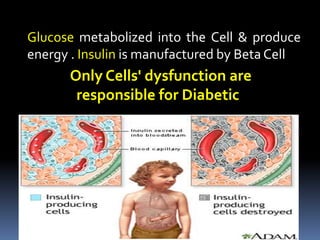 Glucose metabolized into the Cell & produce
energy . Insulin is manufactured by Beta Cell
Only Cells' dysfunction are
responsible for Diabetic
 
