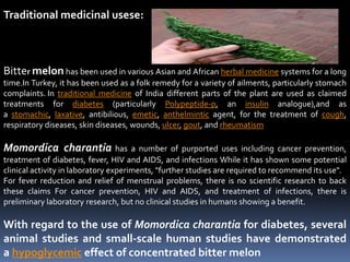 Traditional medicinal usese:
Bitter melon has been used in various Asian and African herbal medicine systems for a long
time.In Turkey, it has been used as a folk remedy for a variety of ailments, particularly stomach
complaints. In traditional medicine of India different parts of the plant are used as claimed
treatments for diabetes (particularly Polypeptide-p, an insulin analogue),and as
a stomachic, laxative, antibilious, emetic, anthelmintic agent, for the treatment of cough,
respiratory diseases, skin diseases, wounds, ulcer, gout, and rheumatism
Momordica charantia has a number of purported uses including cancer prevention,
treatment of diabetes, fever, HIV and AIDS, and infections While it has shown some potential
clinical activity in laboratory experiments, "further studies are required to recommend its use".
For fever reduction and relief of menstrual problems, there is no scientific research to back
these claims For cancer prevention, HIV and AIDS, and treatment of infections, there is
preliminary laboratory research, but no clinical studies in humans showing a benefit.
With regard to the use of Momordica charantia for diabetes, several
animal studies and small-scale human studies have demonstrated
a hypoglycemic effect of concentrated bitter melon
 