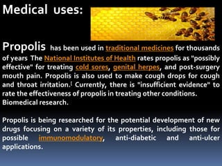 Medical uses:
Propolis has been used in traditional medicines for thousands
of years The National Institutes of Health rates propolis as "possibly
effective" for treating cold sores, genital herpes, and post-surgery
mouth pain. Propolis is also used to make cough drops for cough
and throat irritation.[ Currently, there is "insufficient evidence" to
rate the effectiveness of propolis in treating other conditions.
Biomedical research.
Propolis is being researched for the potential development of new
drugs focusing on a variety of its properties, including those for
possible immunomodulatory, anti-diabetic and anti-ulcer
applications.
 