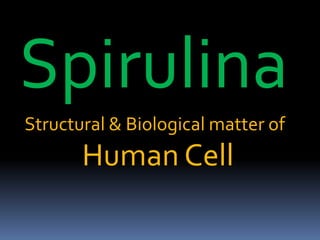 Spirulina
Structural & Biological matter of
Human Cell
 