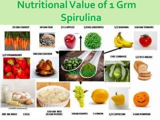 NutritionalValue of 1 Grm
Spirulina
Spirulina
 