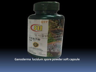 Ganoderma lucidum spore powder soft capsule
 