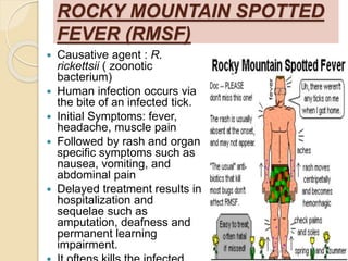 Rash Of Rmsf Rickketsiaece | PPTX