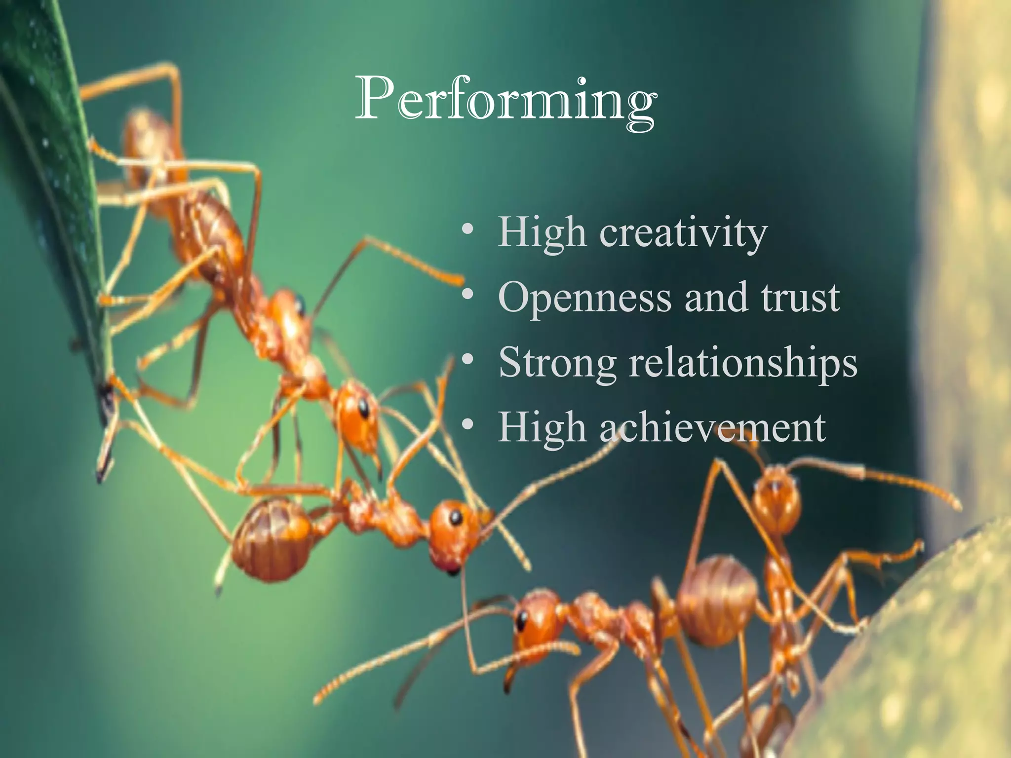 Performing
• High creativity
• Openness and trust
• Strong relationships
• High achievement
 