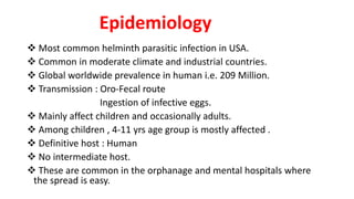 Epidemiology
 Most common helminth parasitic infection in USA.
 Common in moderate climate and industrial countries.
 Global worldwide prevalence in human i.e. 209 Million.
 Transmission : Oro-Fecal route
Ingestion of infective eggs.
 Mainly affect children and occasionally adults.
 Among children , 4-11 yrs age group is mostly affected .
 Definitive host : Human
 No intermediate host.
 These are common in the orphanage and mental hospitals where
the spread is easy.
 