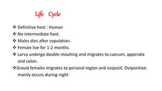 Life Cycle
 Definitive host : Human
 No intermediate host.
 Males dies after copulation.
 Female live for 1-2 months.
 Larva undergo double moulting and migrates to caecum, appendix
and colon.
Gravid females migrates to perianal region and oviposit. Oviposition
mainly occurs during night.
 