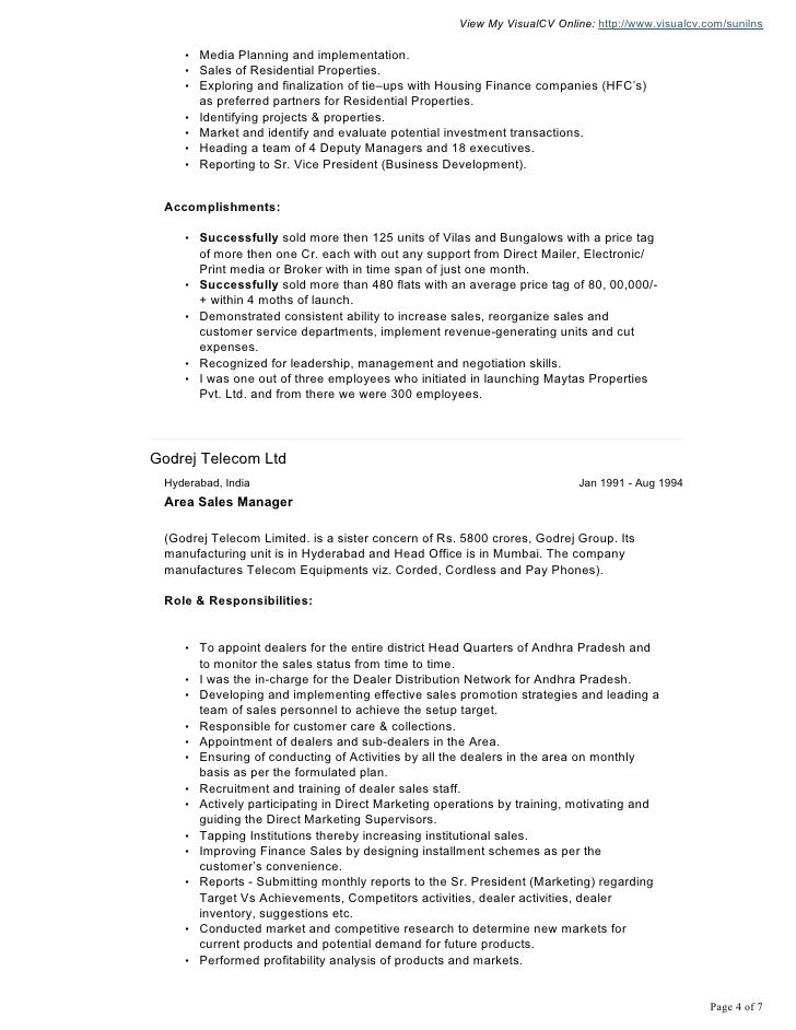 resume for it project manager