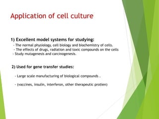 Application of cell culture
1) Excellent model systems for studying:
- The normal physiology, cell biology and biochemistry of cells.
- The effects of drugs, radiation and toxic compounds on the cells
- Study mutagenesis and carcinogenesis.
2) Used for gene transfer studies:
- Large scale manufacturing of biological compounds .
- (vaccines, insulin, interferon, other therapeutic protien)
 