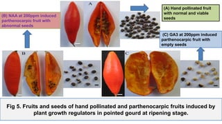 Recent advances in parthenocarpy and it's application in vegetable crop ...
